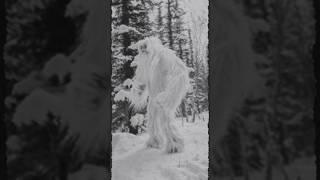 Shapeshifts from Polar Bear to Yeti to Wolf!! #nightmare #beast #scary #shapeshifting #ai #yeti