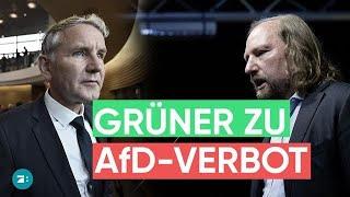 AfD-Verbot? Grünen-Politiker Hofreiter ist "skeptisch"