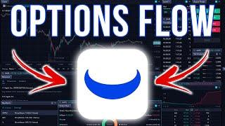 How To View Options Order Flow On Webull *FREE*