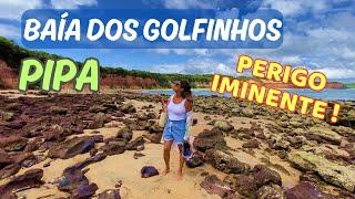 BAÍA DOS GOLFINHOS - PIPA - RN - Perigo Iminente!