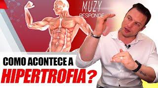 COMO ACONTECE A HIPERTROFIA MUSCULAR? | MUZY RESPONDE