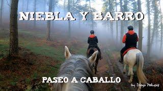 Niebla y barro. Paseo a caballo de 2h con la gente de las cuadras