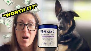 Before buying probiotics for dogs WATCH THIS! | PetLab Co Review