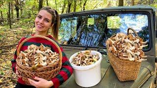 VILLAGE LIFE in UKRAINE | Mushrooms Picking