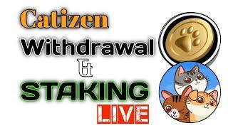 Catizen $CATI Airdrop Withdrawal & Staking Live || Token Release Schedule