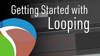 Looping (Part 1) | Getting Started, Track settings, Time selection auto punch