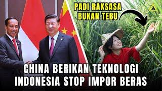 Mantab!! PROYEK BARU INDONESIA CHINA di Dekat IKN