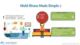 Mold Illness Made Simple 2 - Launch Webinar with Dr. Sandeep Gupta and Scott Forsgren