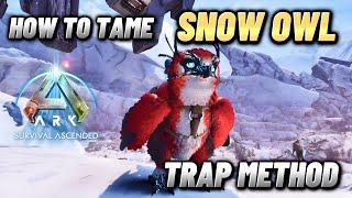 How To Tame A Snow Owl, Ark Survival Ascended Tame & Trap Guide!