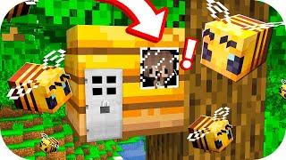 BEBE NOOBSI CONSTRUYE UNA BASE SECRETA DENTRO DE UN PANAL DE ABEJAS  BASE SECRETA NOOB MINECRAFT