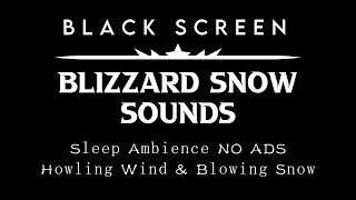 [Black Screen Snowstorm] Blizzard Sounds For Sleeping - Sleep Ambience NO ADS ┇ Wind Storm