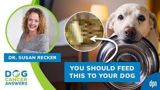 The Best and Worst Foods for Dog Cancer | Dr. Susan Recker (Video Cut)