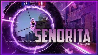 Senorita  PUBG Montage