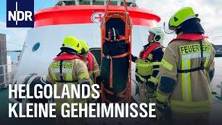 Feuerwehr, Flughafen und verletzte Haustiere - Helgoland hinter den Kulissen | Nordseereport | NDR D