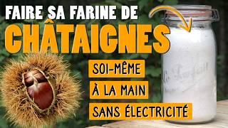 CHÂTAIGNES : Faire sa FARINE facilement et SANS ÉLECTRICITÉ! (Récolte, tri, décorticage, séchage,..)