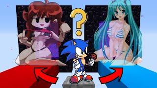Minecraft FNF Sonic: DO NOT CHOOSE THE WRONG PORTAL (Girlfriend OR Miku ?)