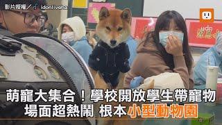 萌寵大集合！學校開放學生帶寵物 場面超熱鬧 根本小型動物園｜毛孩｜生活