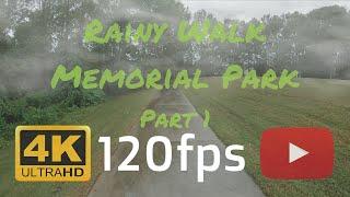 4k 120Hz/fps Video Test | 2x Speed For 120fps | Rainy Day In Memorial Park | Part 1