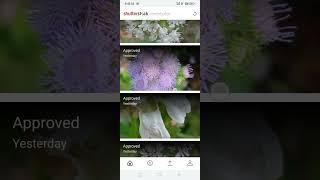 shutterstock contributor earnings/ how to use shutterstock contributor app in hindi/#shortvideo