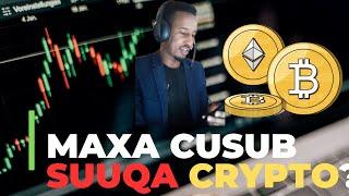 Isbedelka Suuqa Crypto|Dhaqaaqa BITCOIN|Tron iyo Meme Coin cusub