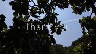 Affirmation Song - I am Grateful - Alexia Chellun