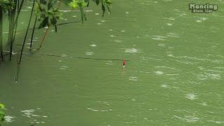 Fishing Tilapia With Focus on Float