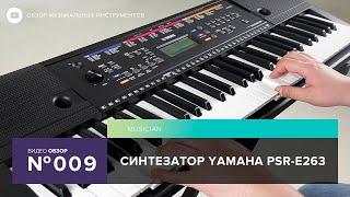 Обзор синтезатора Yamaha PSR E263