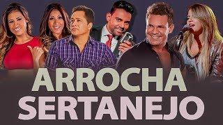 Dvd Arrocha Sertanejo - 2019 As Melhores do Ano