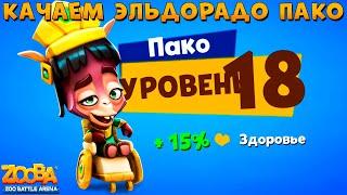 КАЧАЕМ ЭЛЬДОРАДО ПАКО НА 18 УРОВЕНЬ В ИГРЕ ZOOBA