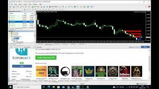 Enter For ME Free Forex Trading Robot