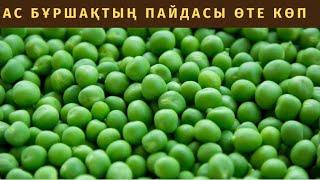 Ал сіз ас бұршақтың пайдасын білдіңізбе?Горох.Пайдалы ақпарат.