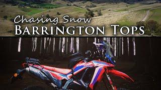 Barrington Tops SNOW | Australia's Best Views | Barrington Tops | Crashes | Wildlife | CRF300