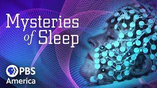 Mysteries of Sleep (2020) | Full Documentary | NOVA