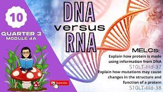 Grade 10 SCIENCE | Quarter 3 Module 4A | DNA vs RNA