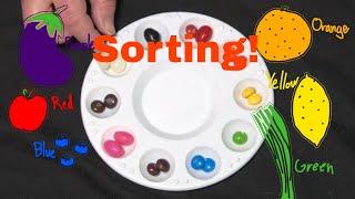 Sorting by color, size and shape - Preschool learning activity