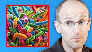 Before You Eat Fiber - The Surprising Truth About the Microbiome | Dr. Bret Scher