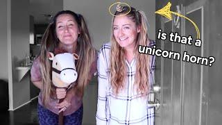 Horse girls at a sleepover  FUNNY horse videos