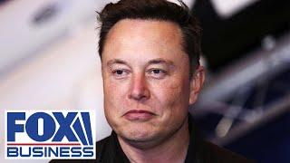 Elon Musk identified 'real rot' at Twitter: GETTR consultant