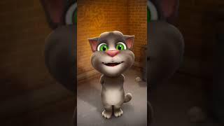 talking Tom cat singing