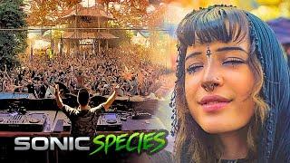 Sonic Species - Ozora Festival 2024 [Full Set Movie]