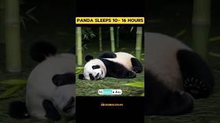 Unknown facts About Panda 