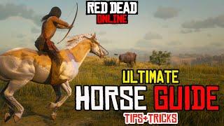 RED DEAD ONLINE - HORSE GUIDE & Best Horse - Tips / Tricks