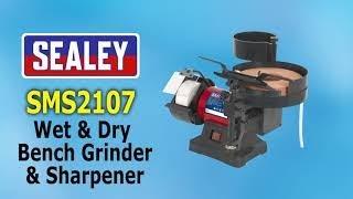 Sealey Wet & Dry Bench Grinder Demonstration - SMS2107