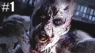 A PERFECT ZOMBIE GAME  | Dying Light Gameplay | PART 1