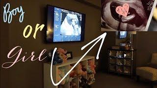 GENDER REVEAL Ultrasound! BOY or GIRL? | 15 Weeks Pregnant