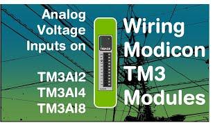 Wiring analog voltage (0-10V) inputs to a TM3 (Schneider Modicon PLC module) (Video 11 in a series)