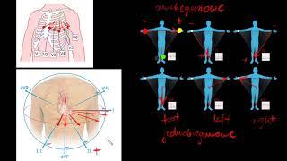 Jak w prosty sposób ZROZUMIEĆ odprowadzenia EKG?