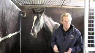 William Funnell | Handling young horses in the yard | HorseandRider UK