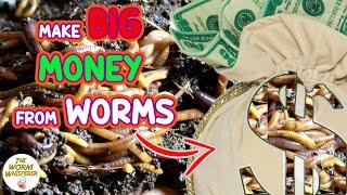 How to MAKE MONEY from a WORM FARM