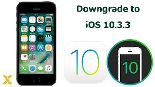 iPhone 5s Downgrade from iOS 12.5.5 to iOS 10.3.3 Powered by LeetDown 